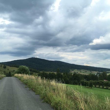 Pokoje U Bozeny I Zbyszka Lipie  Dış mekan fotoğraf